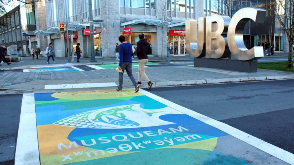 School Zone Crosswalk